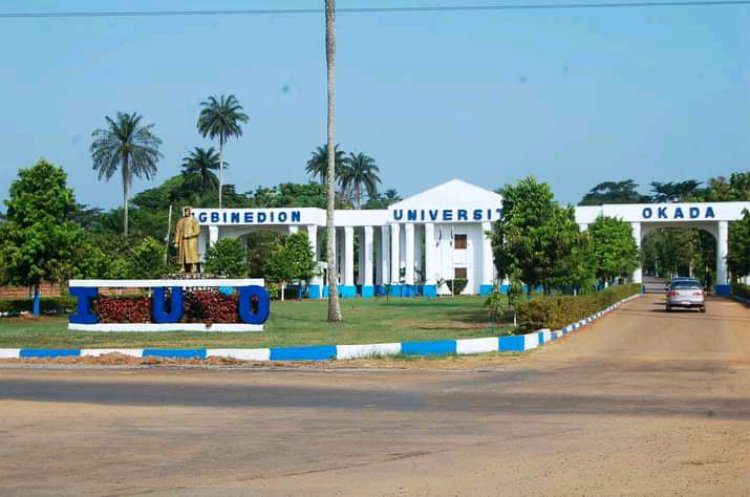 Igbinedion University, Okada